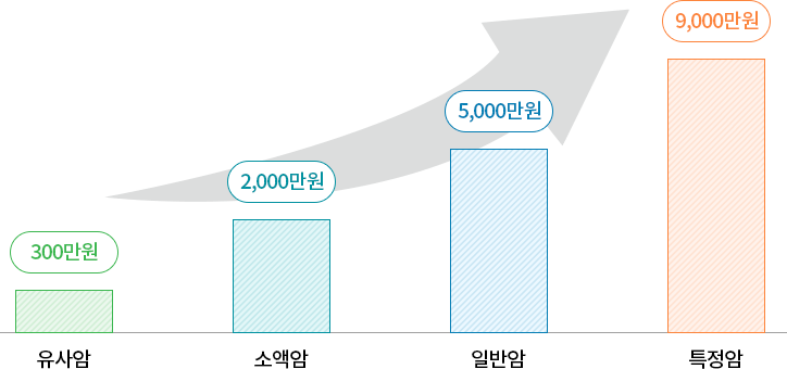 유사암:300만원, 소액암:2,000만원, 일반암:5,000만원, 특정암:9,000만원