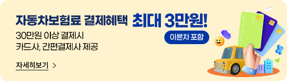 자동차보험료(이륜차 포함) 결제혜택 최대 3만원. 30만원 이상 결제시, 카드사/간편결제사 제공