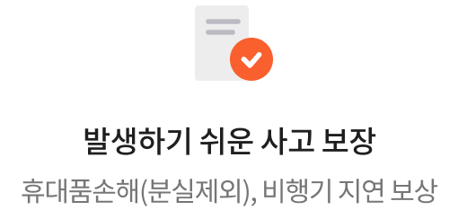 발생하기 쉬운 사고 보장 소지품 분실, 비행기 지연 보장